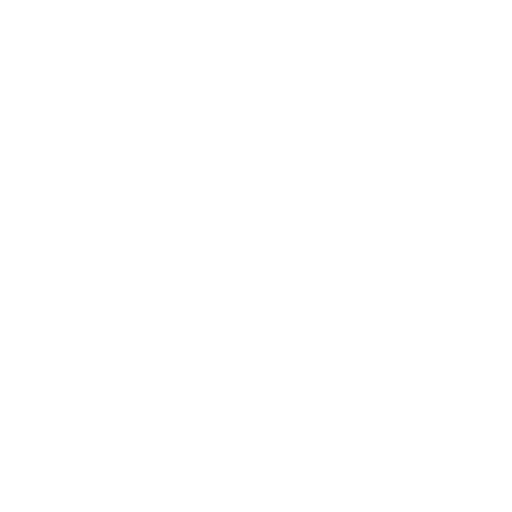 Icono 4